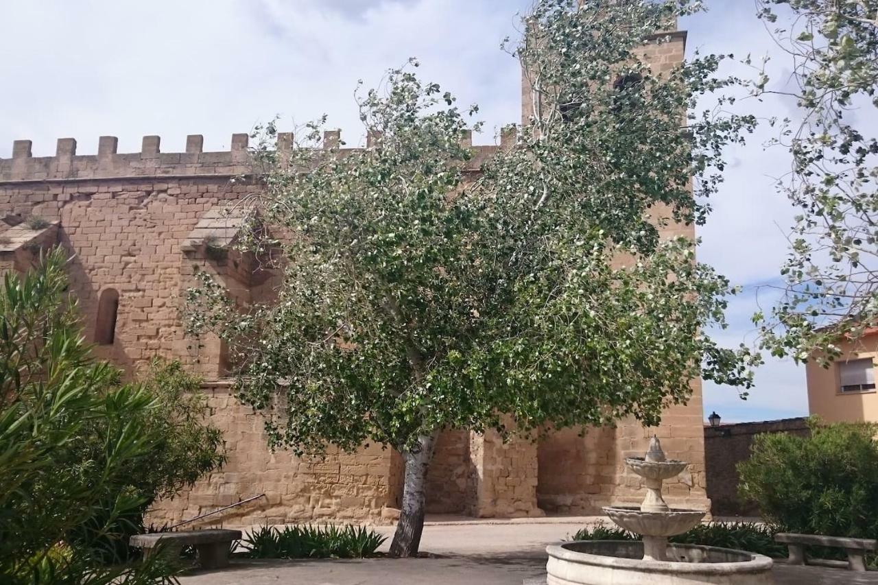 La Gatera 1D Bajo Aragon - Matarrana Appartement Fabara Buitenkant foto